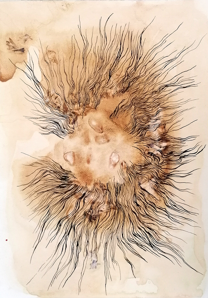 Magdalena Salome, Cladophora, 2021