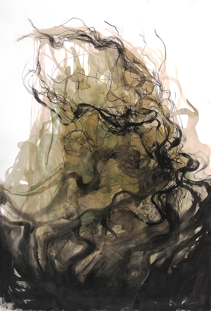 algae 1 1